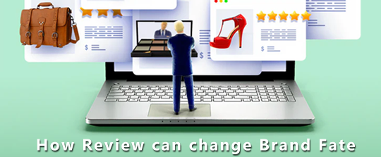 Online Reviews and How They Can Change the Fate of a Brand